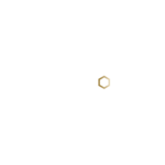 naude bourn